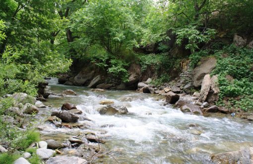 روستای برغان کجاست