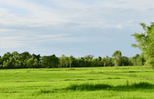 خرید ویلا یا زمین